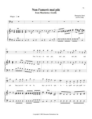 Non l'amerò mai più